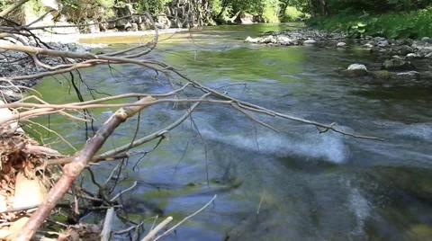 Stream in forest ,clean fresh cold water,artistic video background Stock Footage 50314551
