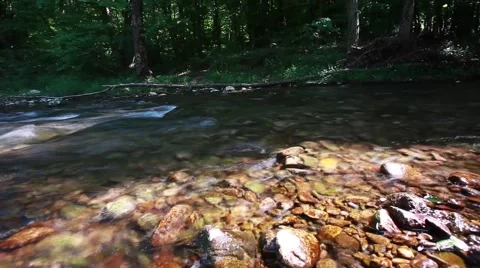 Stream in forest ,clean fresh cold water,artistic video background Stock Footage 50314864