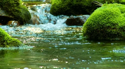 Stream in the forest with clear water close up Stock Footage 8510048