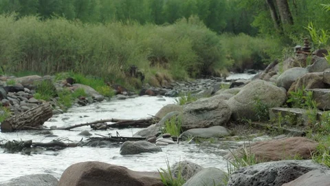 Stream In The Forest On A Cloudy Day Stock Footage 91712820