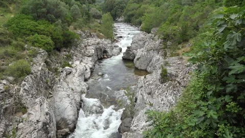 Stream forest Corsica Video stock 163608882