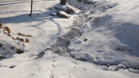 A Stream in the Forest During Winter Stock Footage 85060148