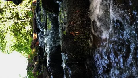 A stream in the forest flows over rocks, a glade in the forest Stock Footage 253720667