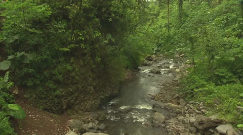 Stream in forest Stock Footage 32537931