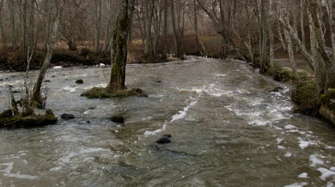 Stream in a forest Stock Footage 33694511