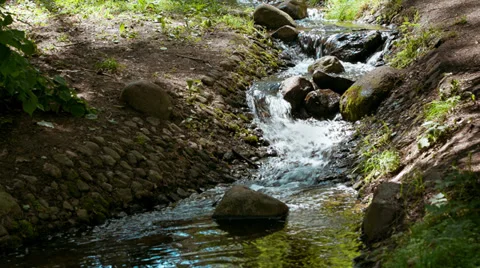 Stream in Forest Stock Footage 39154232