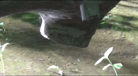 A stream in the forest 스톡 동영상 39251477