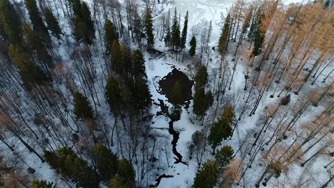 Stream in forest 動画素材 75683913