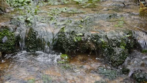 Stream in the forest Stock Footage 88476407