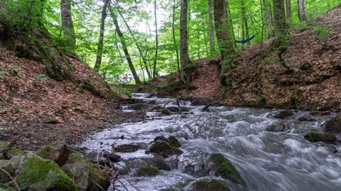 Stream in the forest Stock Footage