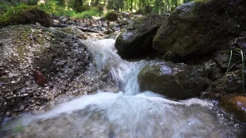 Stream In Forest Stock Footage 129607869
