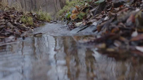 A stream in the forest Video stock 232538056