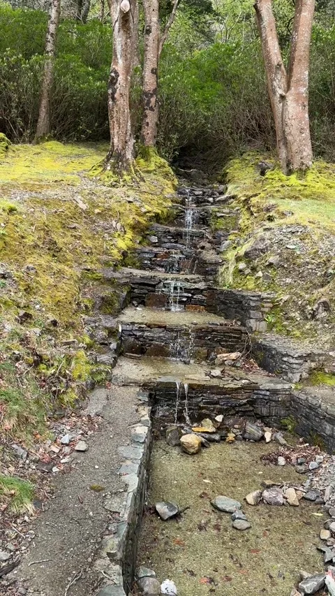Stream in the forest, Kylemore Abbey, Ireland Stock-Footage 314380265