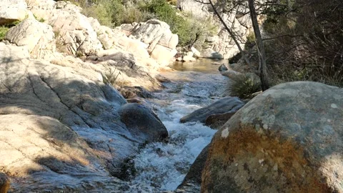 A stream in the forest of monte nieddu in sardinia Stock-Footage 151607100
