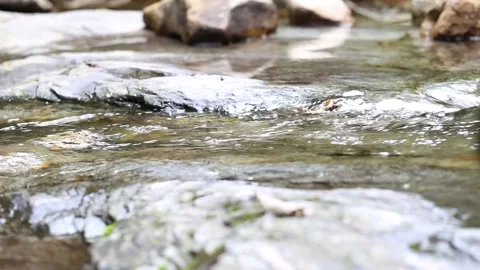 Stream in the forest mountain Stock-Footage 303884645