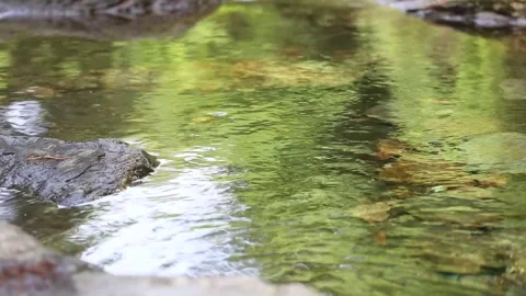  stream in the forest mountain 動画素材 303884655