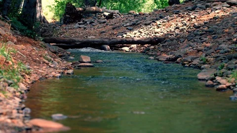 Stream in the forest with people hiking Stock Footage 93678707
