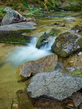 Stream in the forest Stock Photos