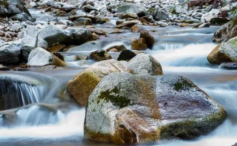 Stream in the forest Stock Photos