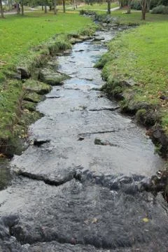 Stream in a forest Stock Photos