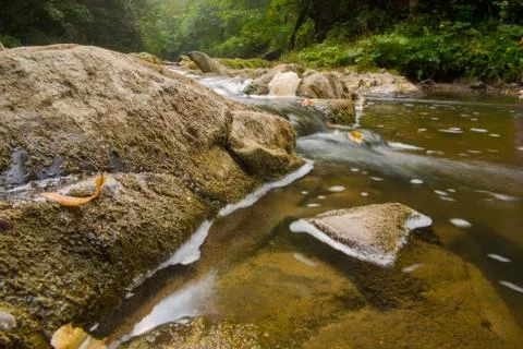 Stream in the forest Stock Photos