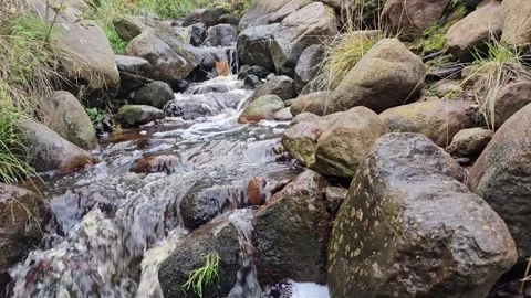 A stream in the forest pours over large stones Stock Footage 251734778