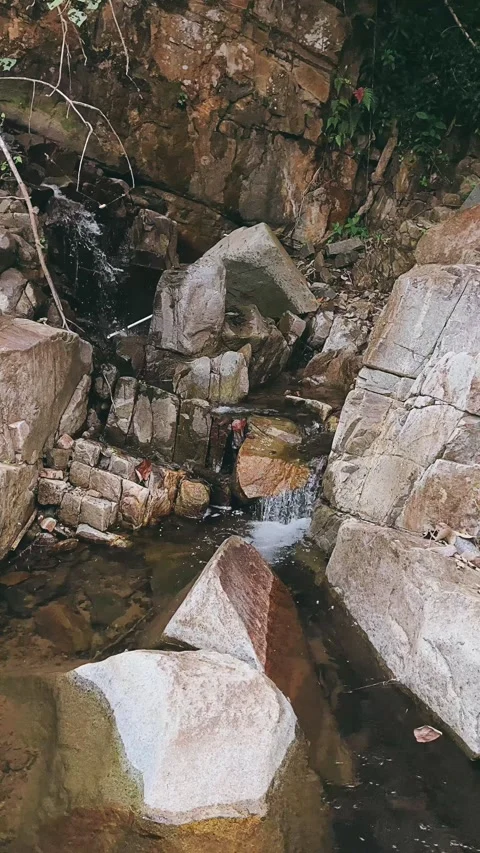 Stream in the forest, river, water, stream, nature, forest, waterfall Stock Footage 237619449