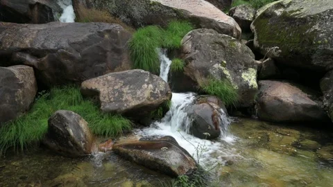 Stream in the forest. Rocks and grass. Stock Footage 283540396