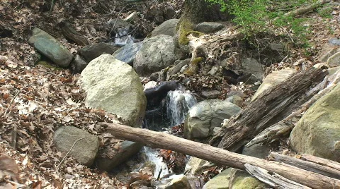 Stream in the Forest with Rocks Stock Footage 400485