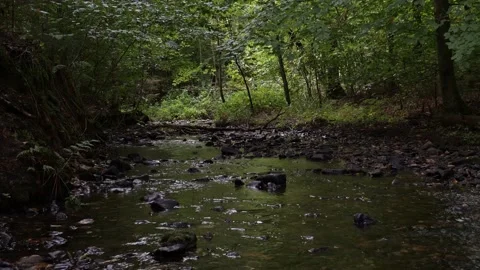 A stream in a forest with scant sunlight flows over stones. Stock Footage 138161792