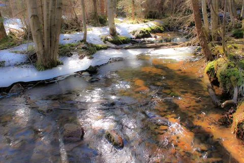 Stream in the forest - Solbergfossen Stock Photos