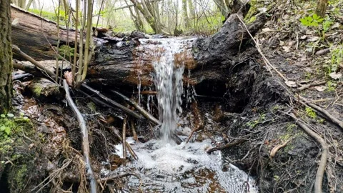 A stream in the forest, spring (1) 4K 30 FPS Video stock 272229913