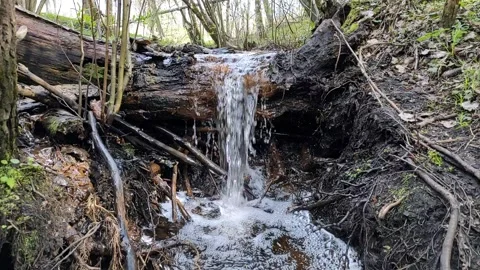 A stream in the forest, spring (2) Full HD 60 FPS Video stock 272223707