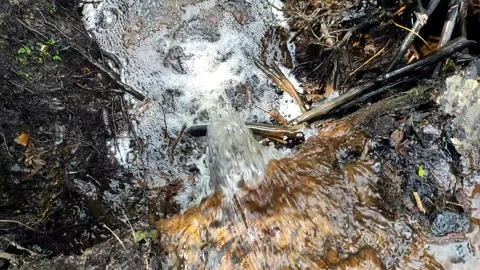 A stream in the forest, spring (3) Full HD 60 FPS Stock Footage 272227841