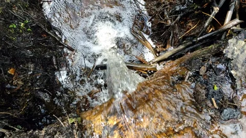 A stream in the forest, spring (4) 4K 30 FPS Video stock 272229251