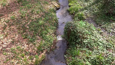Stream in the forest in the spring Stock Footage 74442427