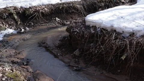 A stream in the forest. thawing areas. Little creek Stock Footage 152935824