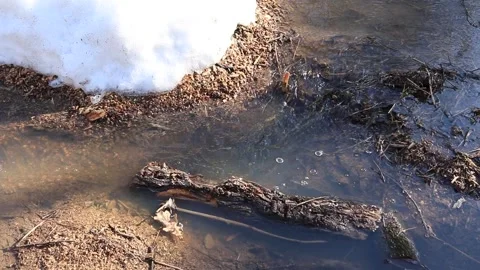 A stream in the forest. thawing areas. Little creek Stock Footage 152935877