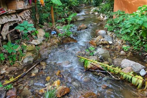 Stream in the forest   waterfall in mountian Stock Photos