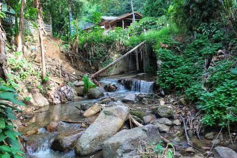 Stream in the forest   waterfall in mountian Stock Photos