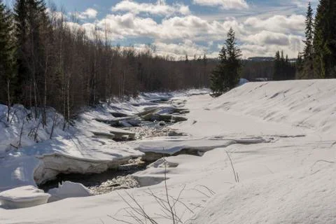 Stream in the forest where the thaw has begun Stock Photos