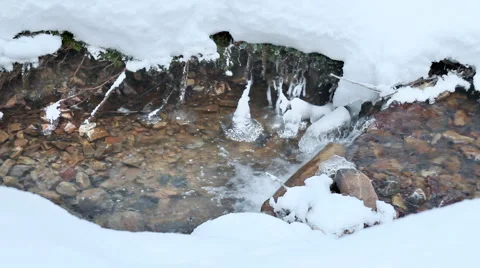 Stream in the forest, winter season. Stock Footage