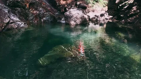 Stream in the forest,water, river, stream, nature, Stock Footage 237181530