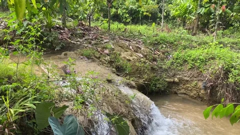 A stream that forms a small waterfall in a farmer's field Stock Footage 234573107