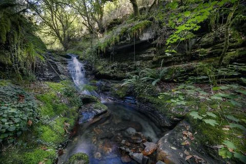 A stream forms a small waterfall that flows into a pool Stock Photos