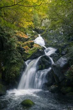 Stream forms waterfalls Stock Photos