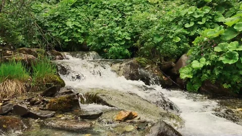 Stream full of water flows along riverbank Stock Footage 94215453