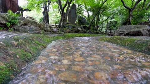 A stream gently flowing surrounded by lush green trees in Gifu Park, Japan Stock Footage 297641679