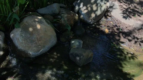 Stream Gently Running Through Rocks In Shade 4K Stock Footage 105486578