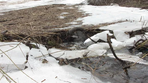 Stream goes under the ice Vídeo Stock 36524097